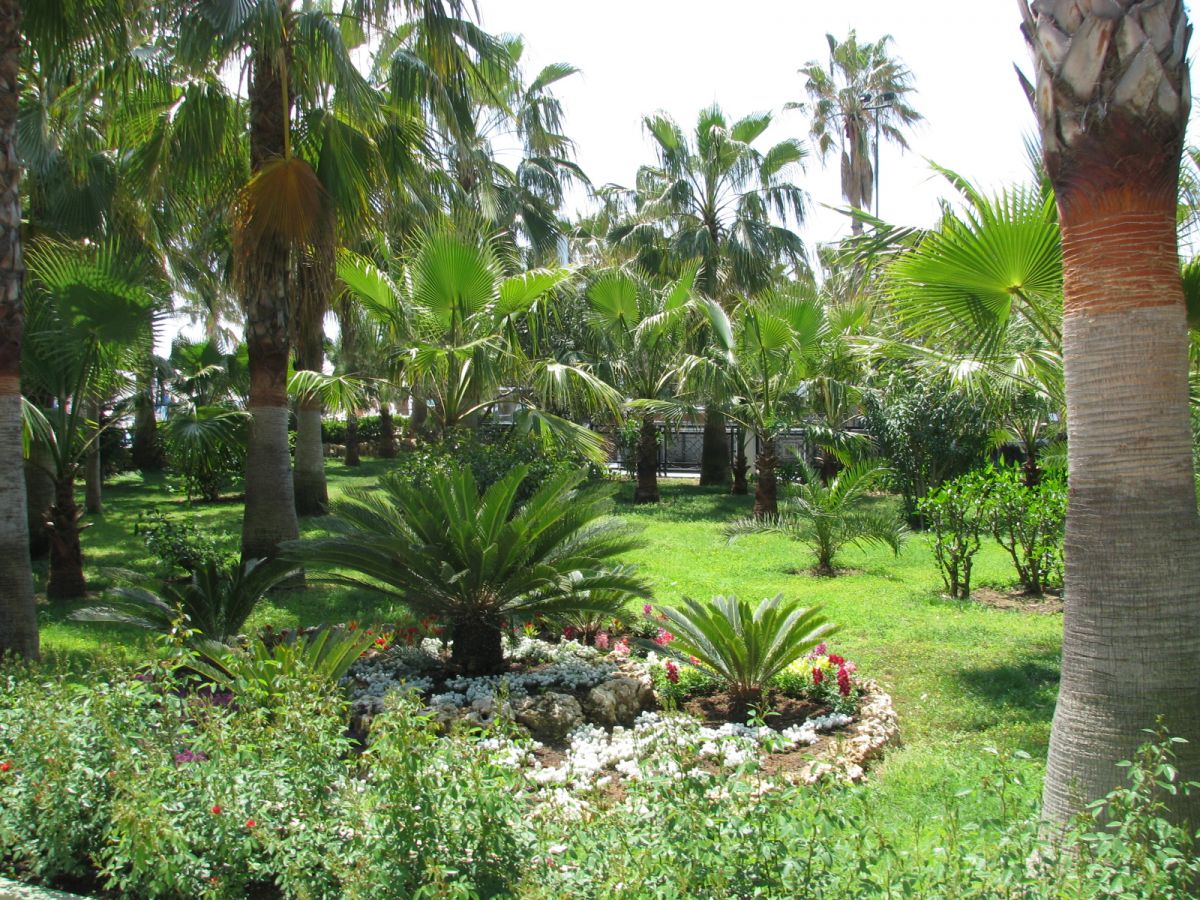 imagini hotel DELPHIN BOTANIK